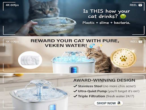 Stainless Steel Cat Water Fountain