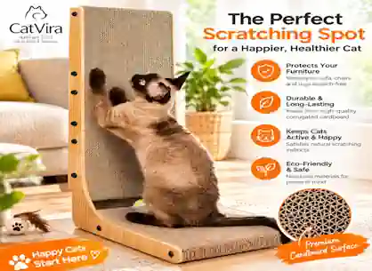 Cat Scratching Post