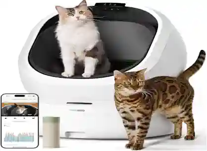 Self-Cleaning Litter Box