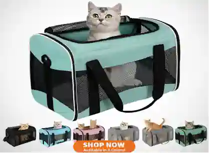 Cat Carrier