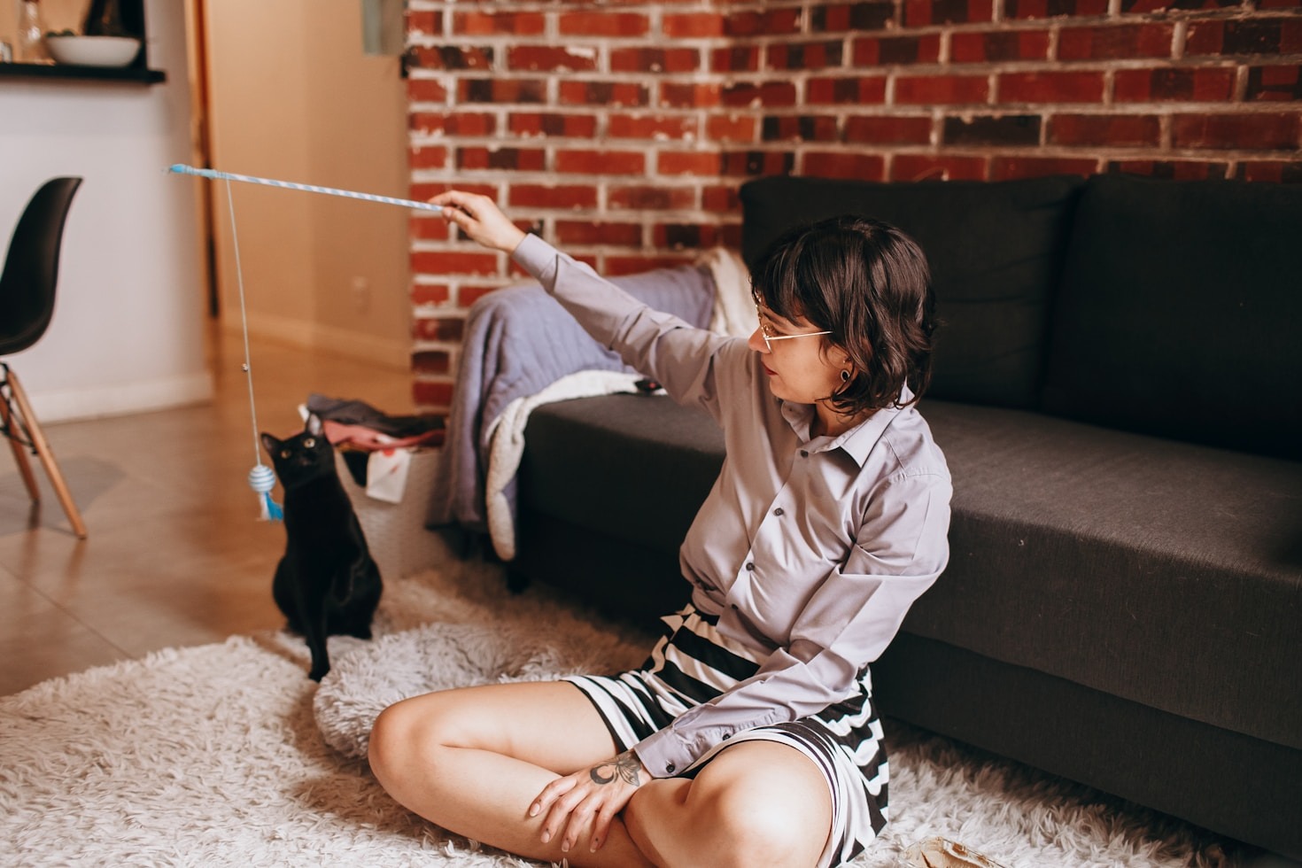 Top Automatic Litter Solutions For Clean Homes