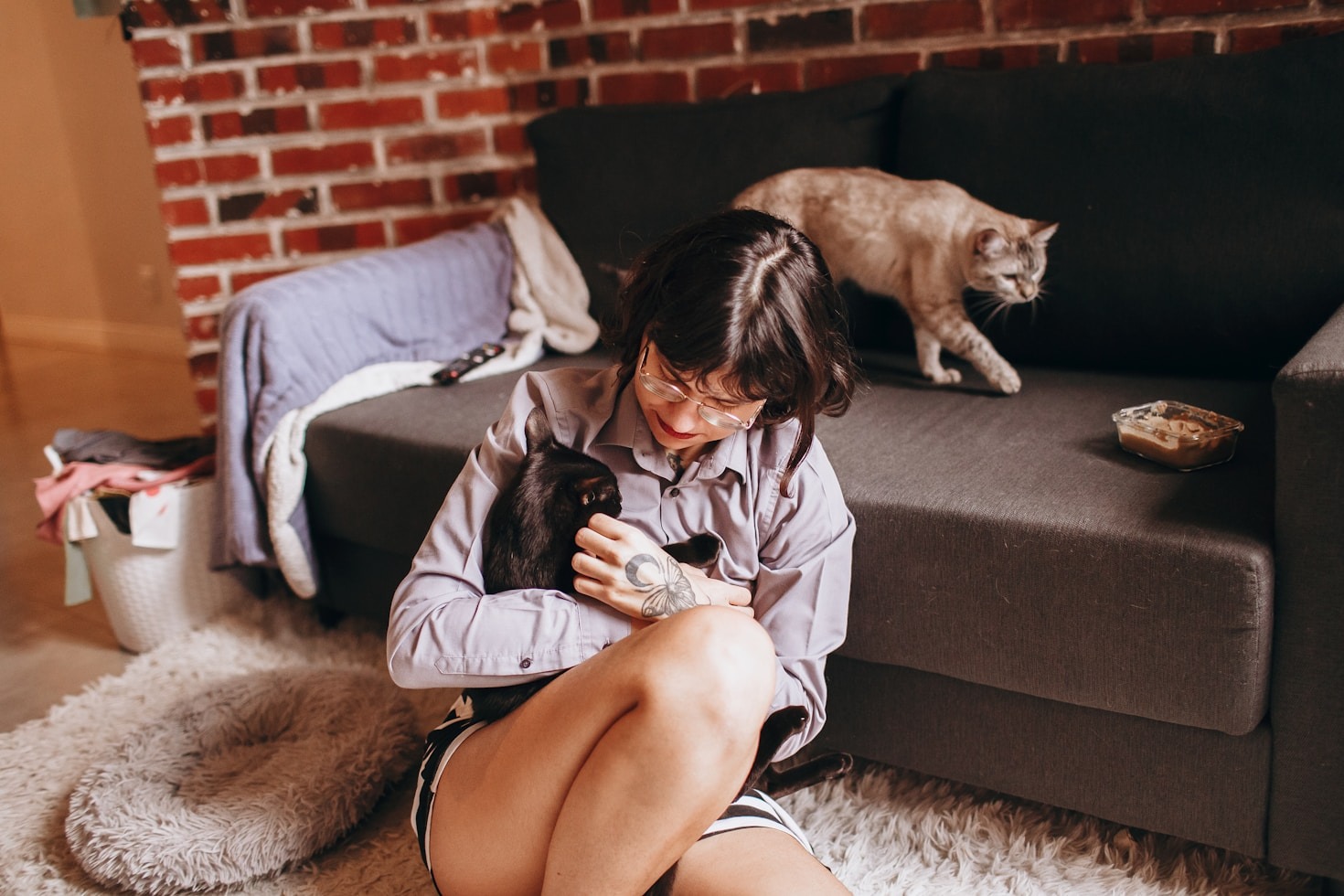 Preparing Your Heated Bed For Winter Nights